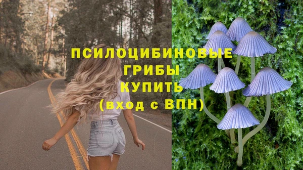 MESCALINE Баксан