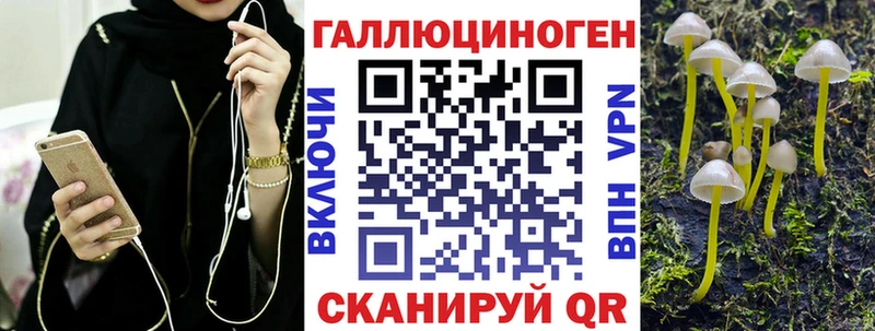 Галлюциногенные грибы Psilocybine cubensis  где можно купить   Покровск 